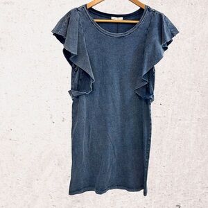 Z Supply Blue Ruffle Sleeve Mini Dress